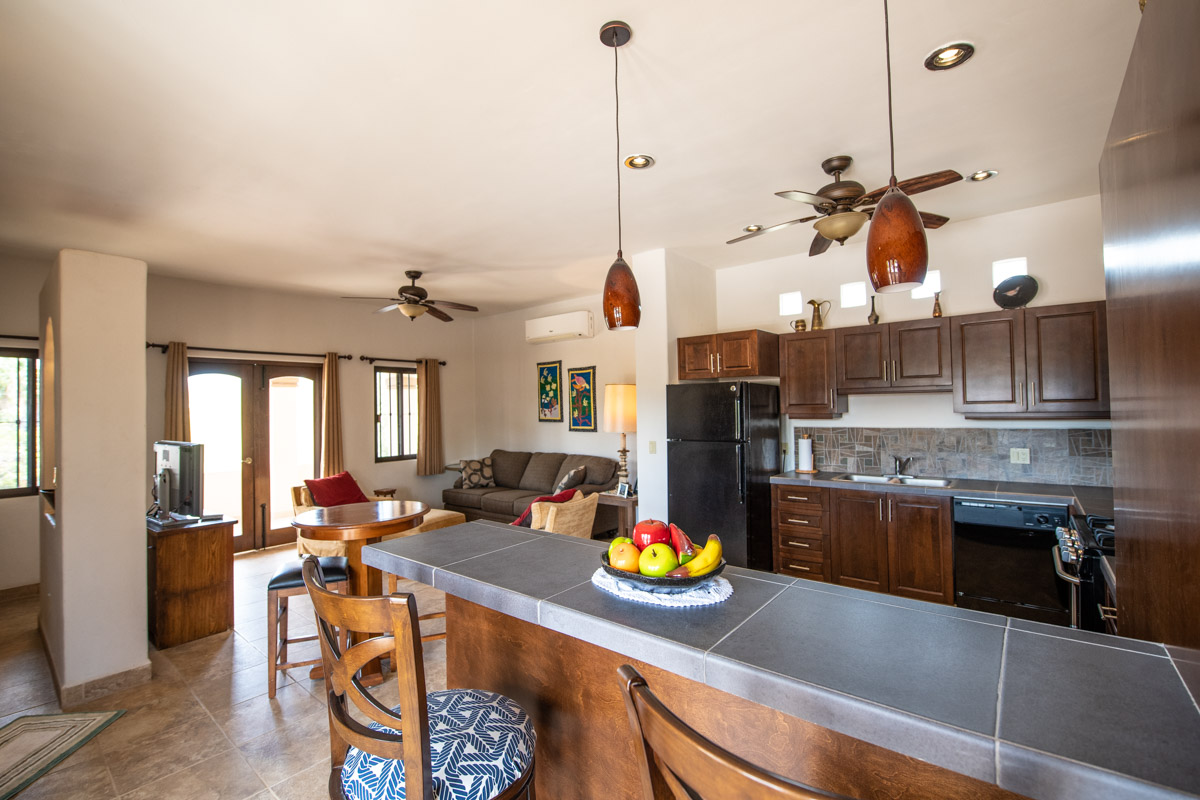 Fabulous One Level Home with Large Garage, Dipping Pool, Outdoor Kitchen and Bar Plus Guest House!