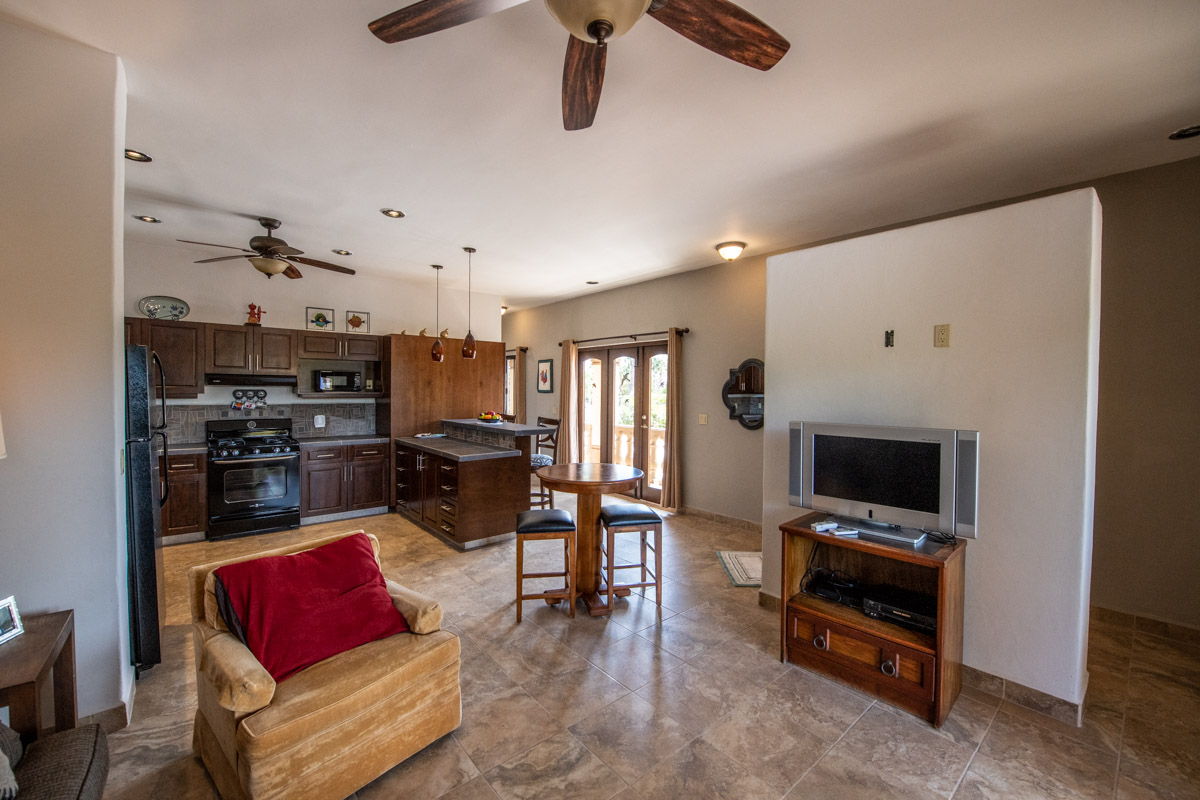Fabulous One Level Home with Large Garage, Dipping Pool, Outdoor Kitchen and Bar Plus Guest House!