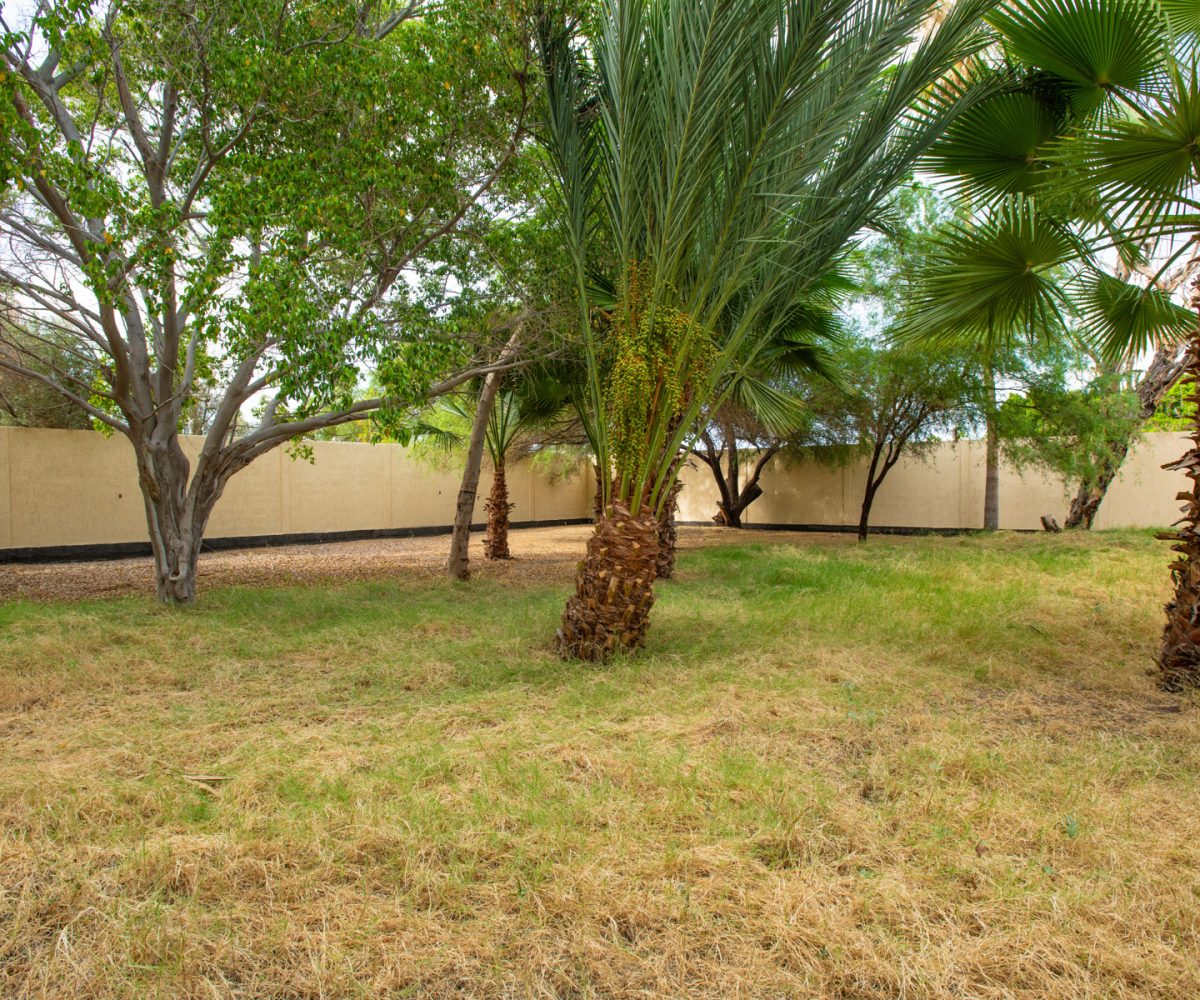 Large Residential Lot In Historic Loreto Town One Block To The Sea Davis Lot 5