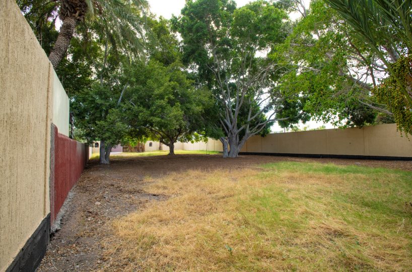 Large Residential Lot In Historic Loreto Town One Block To The Sea: mature trees.