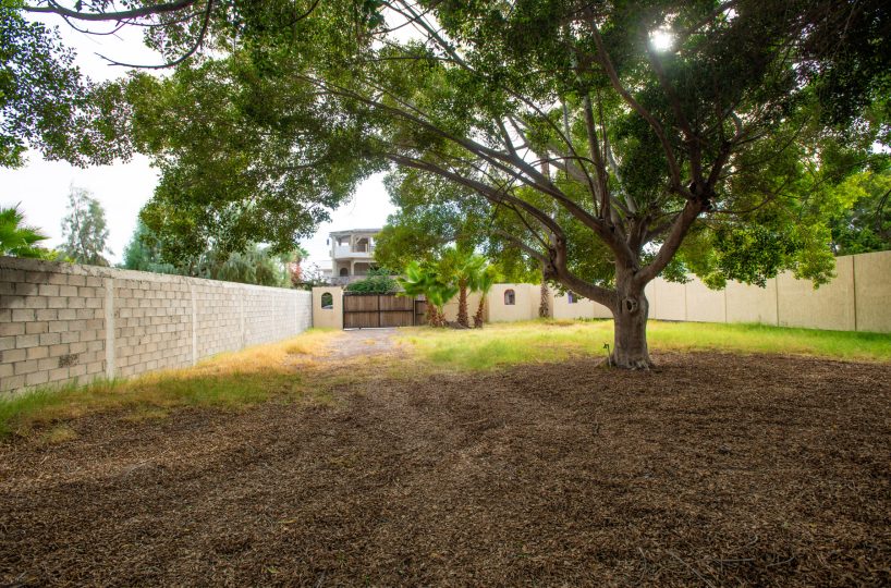 Large Residential Lot In Historic Loreto Town One Block To The Sea: beautiful trees