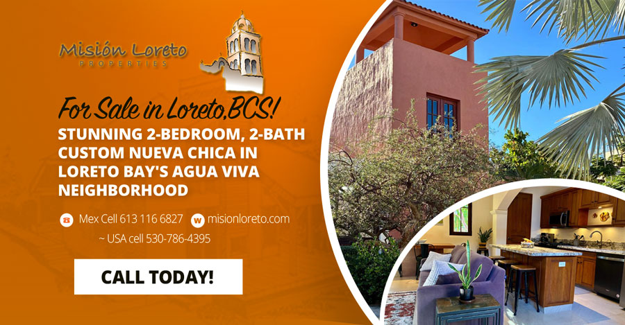 2 Bedroom 2 Bath Custom Nueva Chica Orange Ad 900x469 1 2 Bedroom 2 Bath Custom Nueva Chica Orange Ad 900x469 1