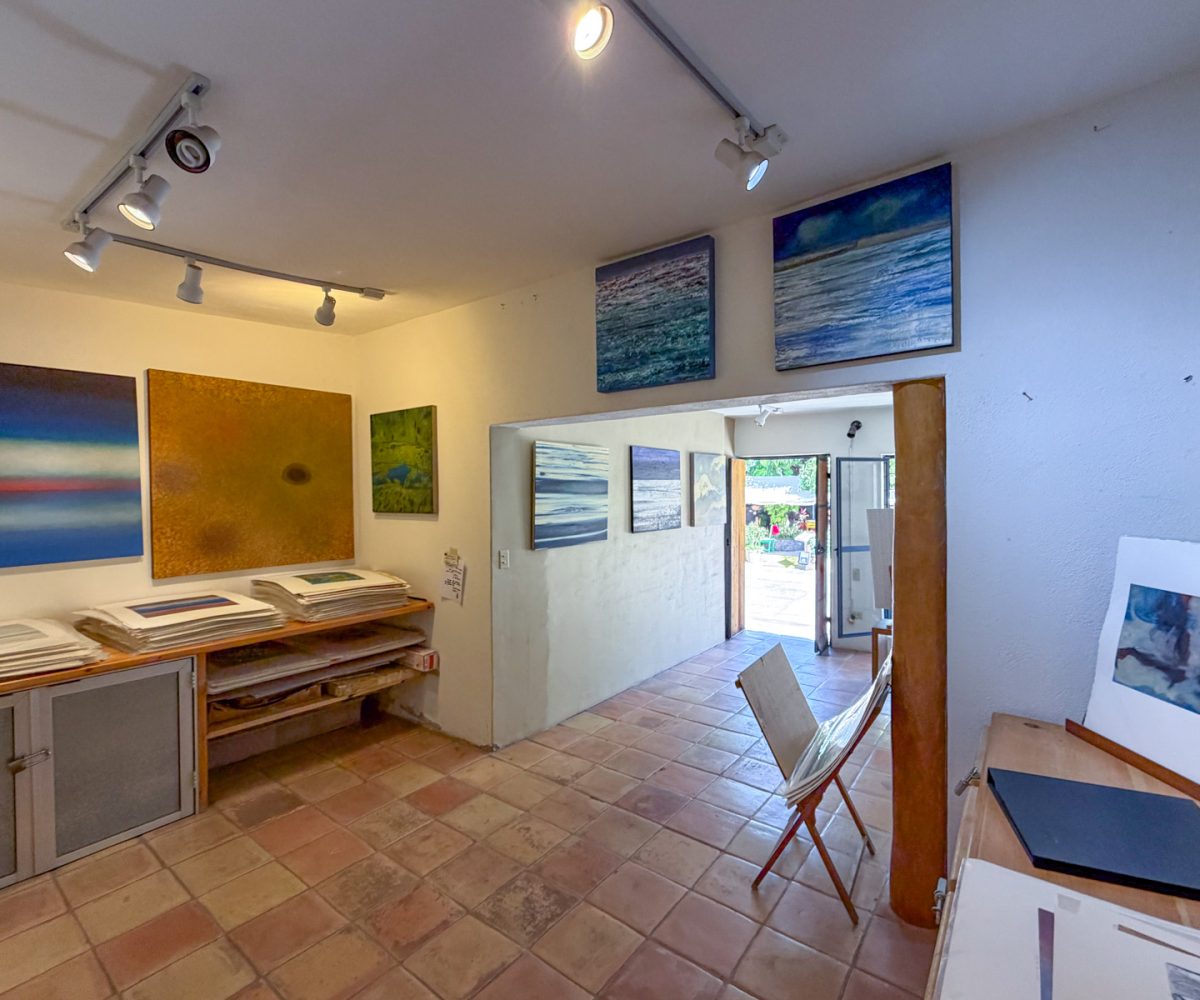 Artist galeria