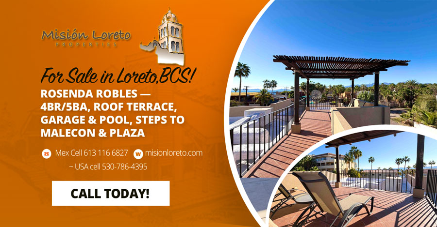 Rosenda Robles Orange Ad 900x469 Rosenda Robles Orange Ad 900x469