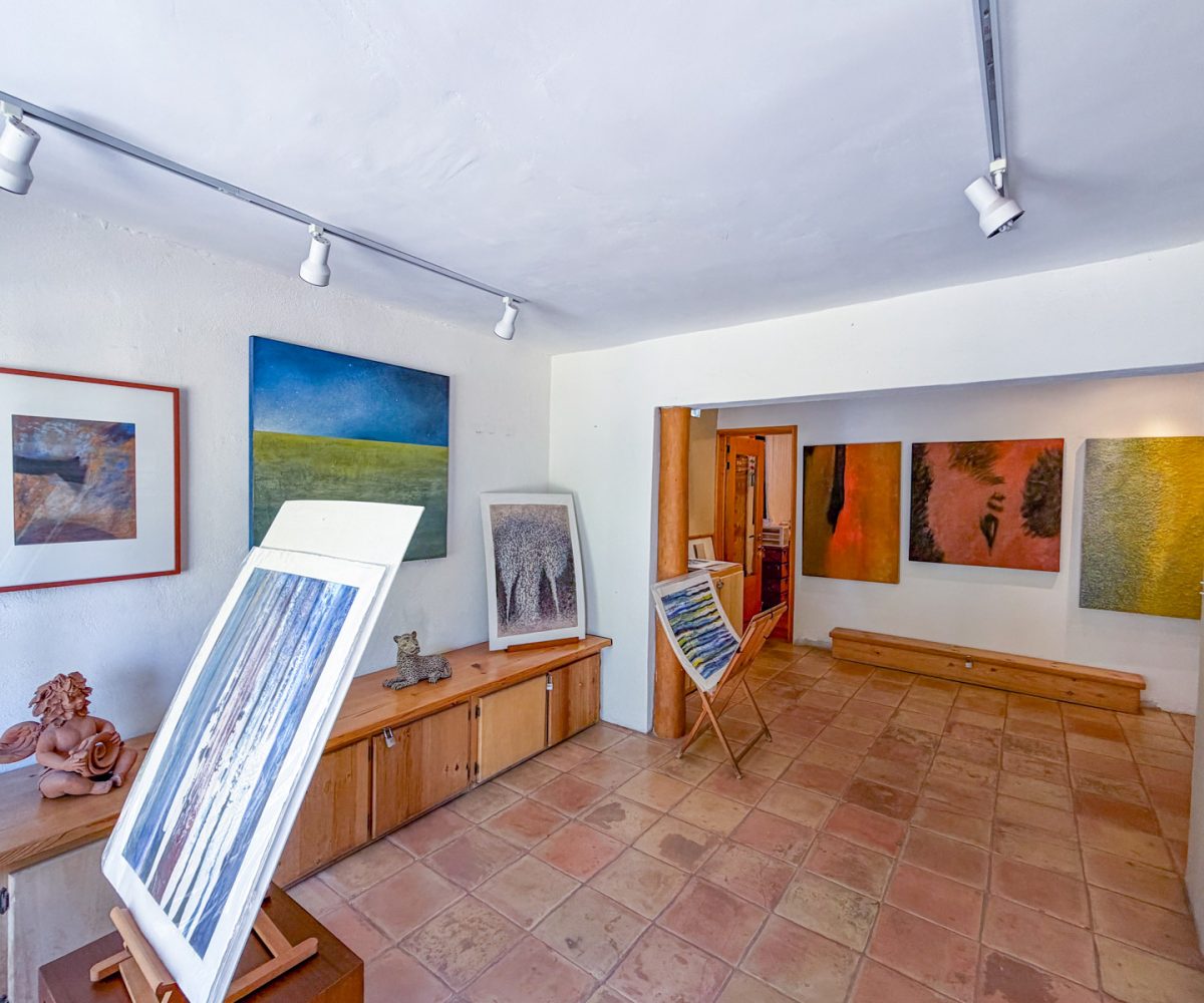 Stepping inside galeria