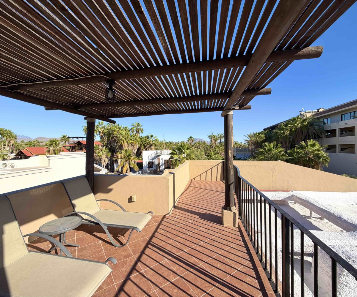 roof terrace looking North 1200x1000